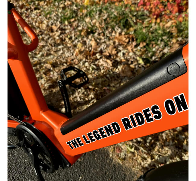 Custom Bicycle Decals 3