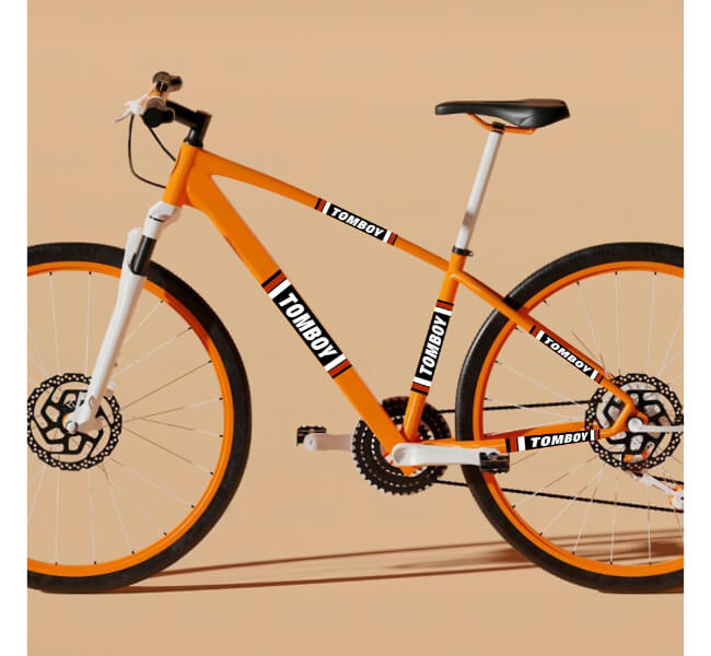 Custom Bicycle Frame Decals 1