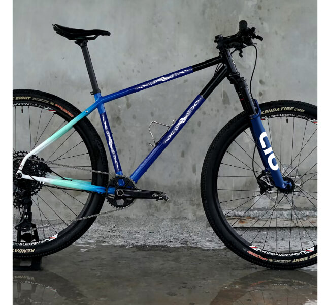 Custom Bike Frame Decals 2