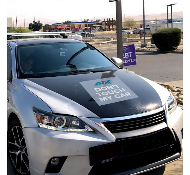 Custom Hood Decals 2