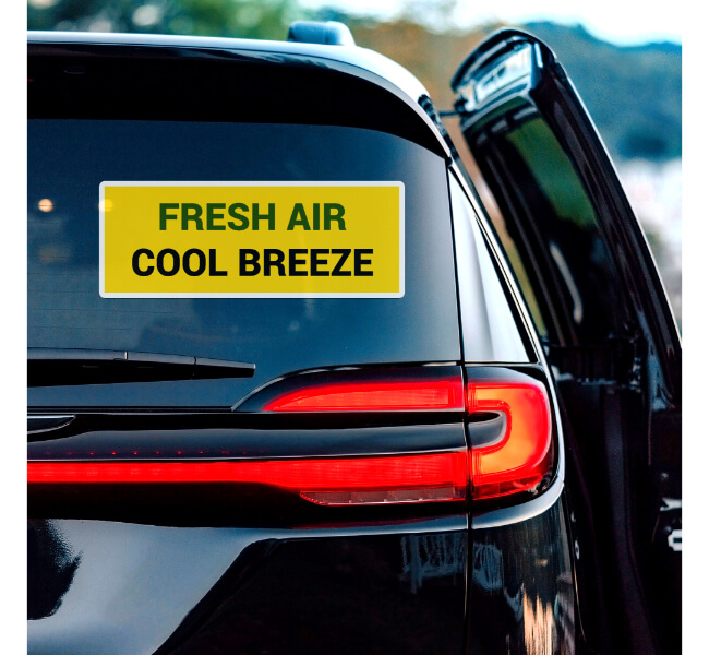 Custom Rear Window Decals 2