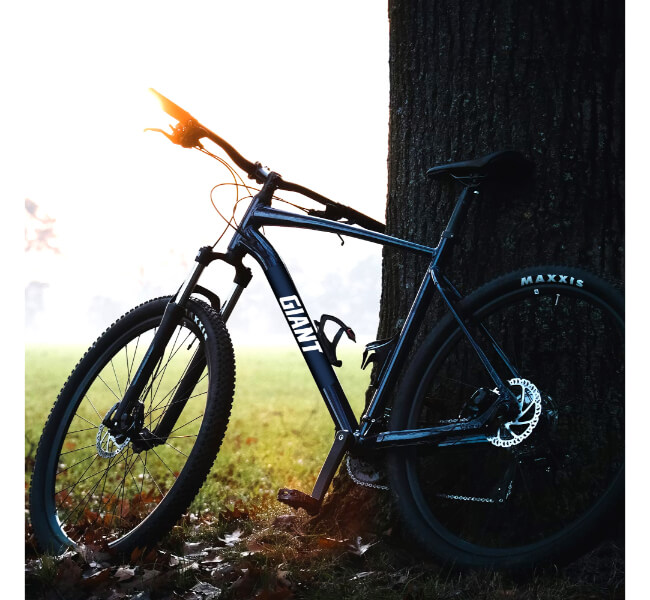 Custom Vinyl Bike Decals 2