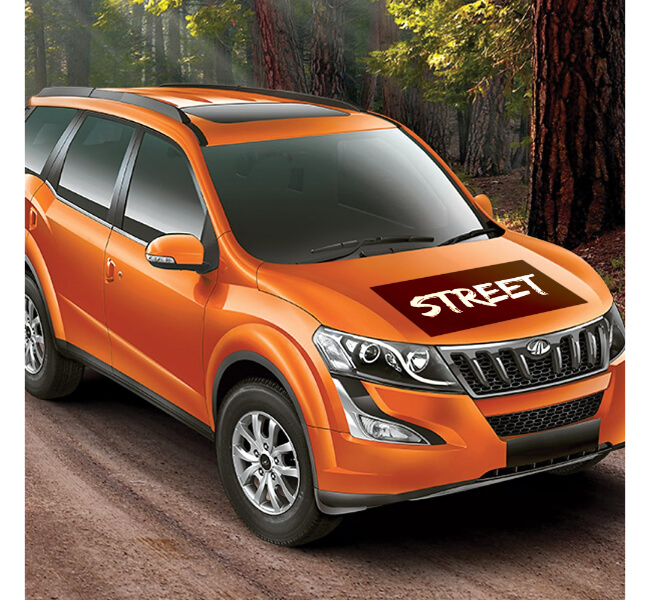 Custom Vehicle Vinyl Decals 1