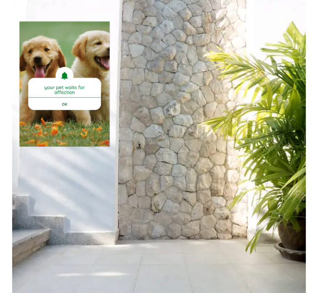 Custom Outdoor Wall Decals 1