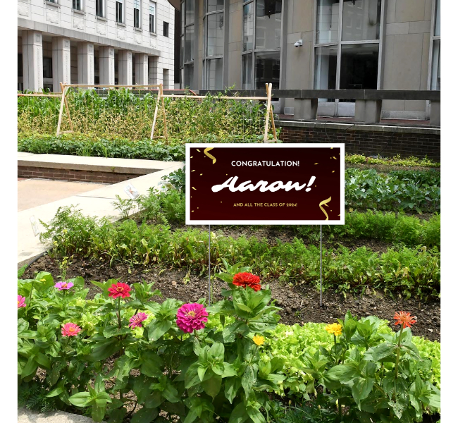 Custom Graduation Yard Signs 1